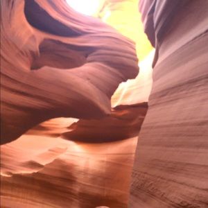 Meet your Posher, Rae